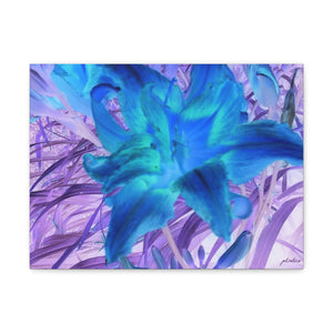 Vivid Lily Print