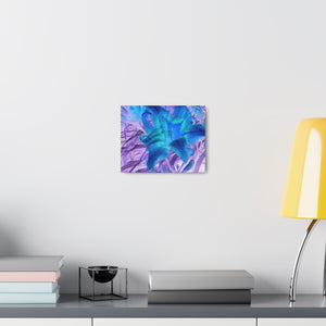 Vivid Lily Print