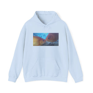 Love Deeply Unisex Hoodie